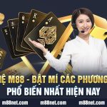 Liên Hệ M88 – Bật Mí Các Phương Thức Phổ Biến Nhất Hiện Nay